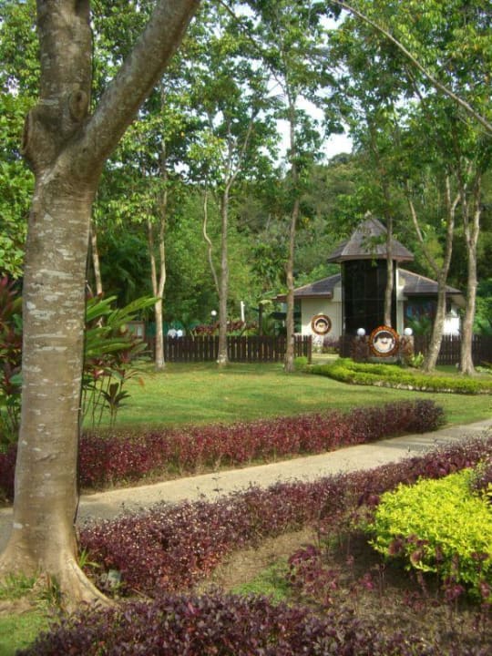 Der tolle Kinderclub Shangri-La's Rasa Ria Resort & Spa