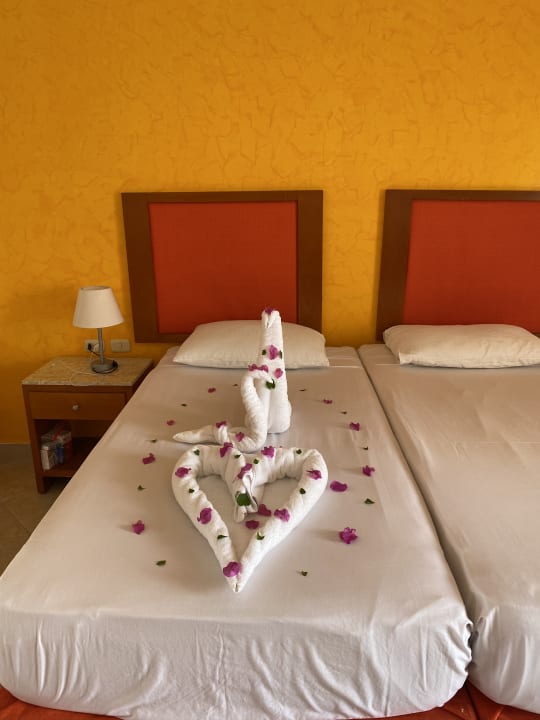 Zimmer Hotel Gorgonia Beach Resort