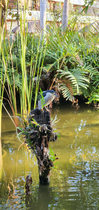 Gartenanlage Nusa Dua Beach Hotel & Spa