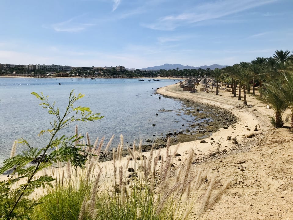 Ausblick Brayka Bay Resort