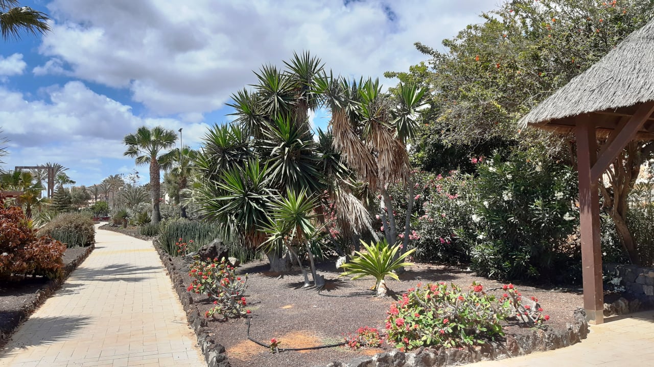Gartenanlage Elba Carlota Beach & Golf Resort