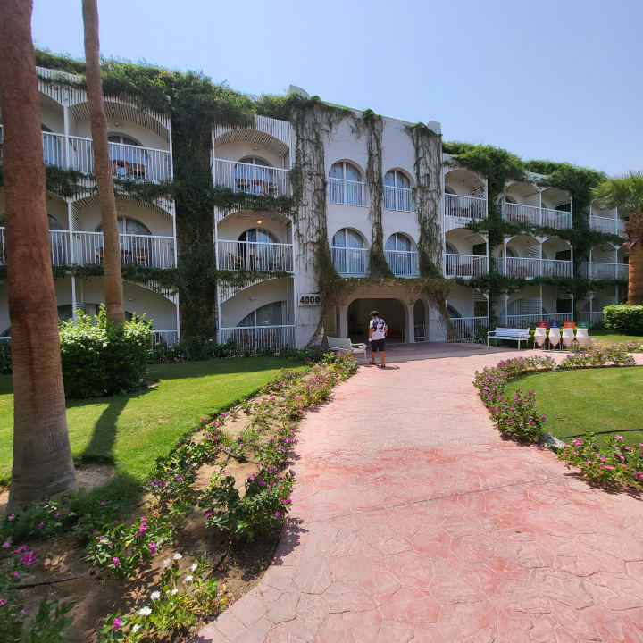 Außenansicht Desert Rose