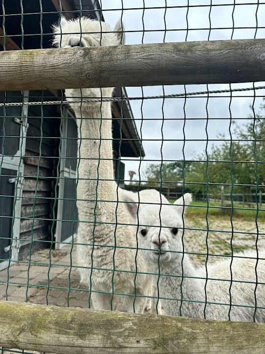 Außenansicht Fruitpark Hotel & Spa
