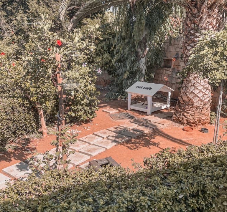 Außenansicht Phãea Cretan Malia