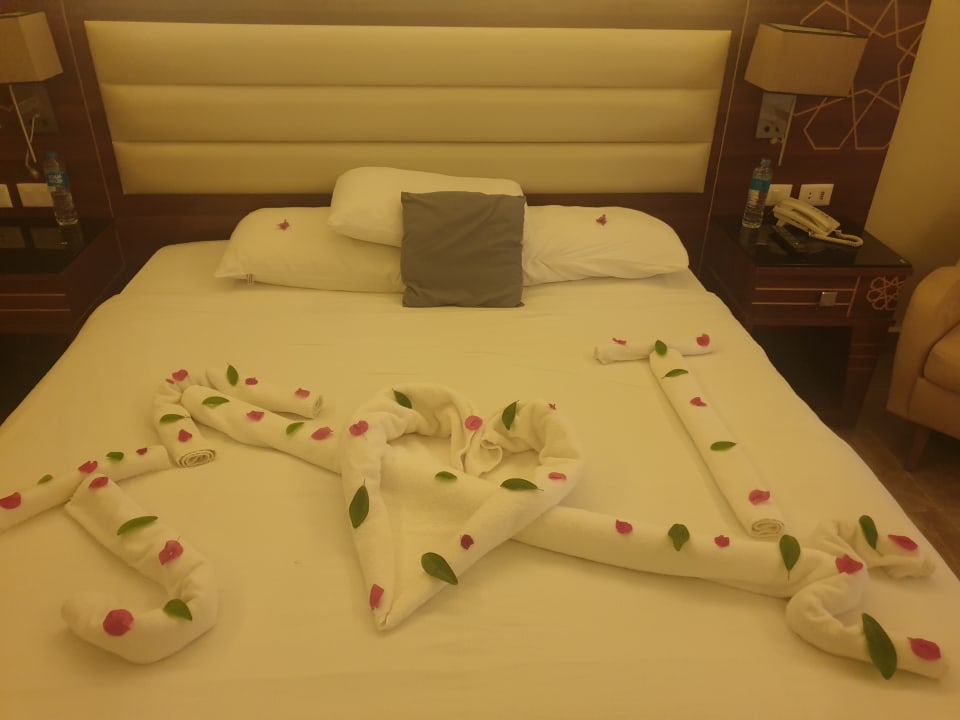 Zimmer Beach Albatros Resort