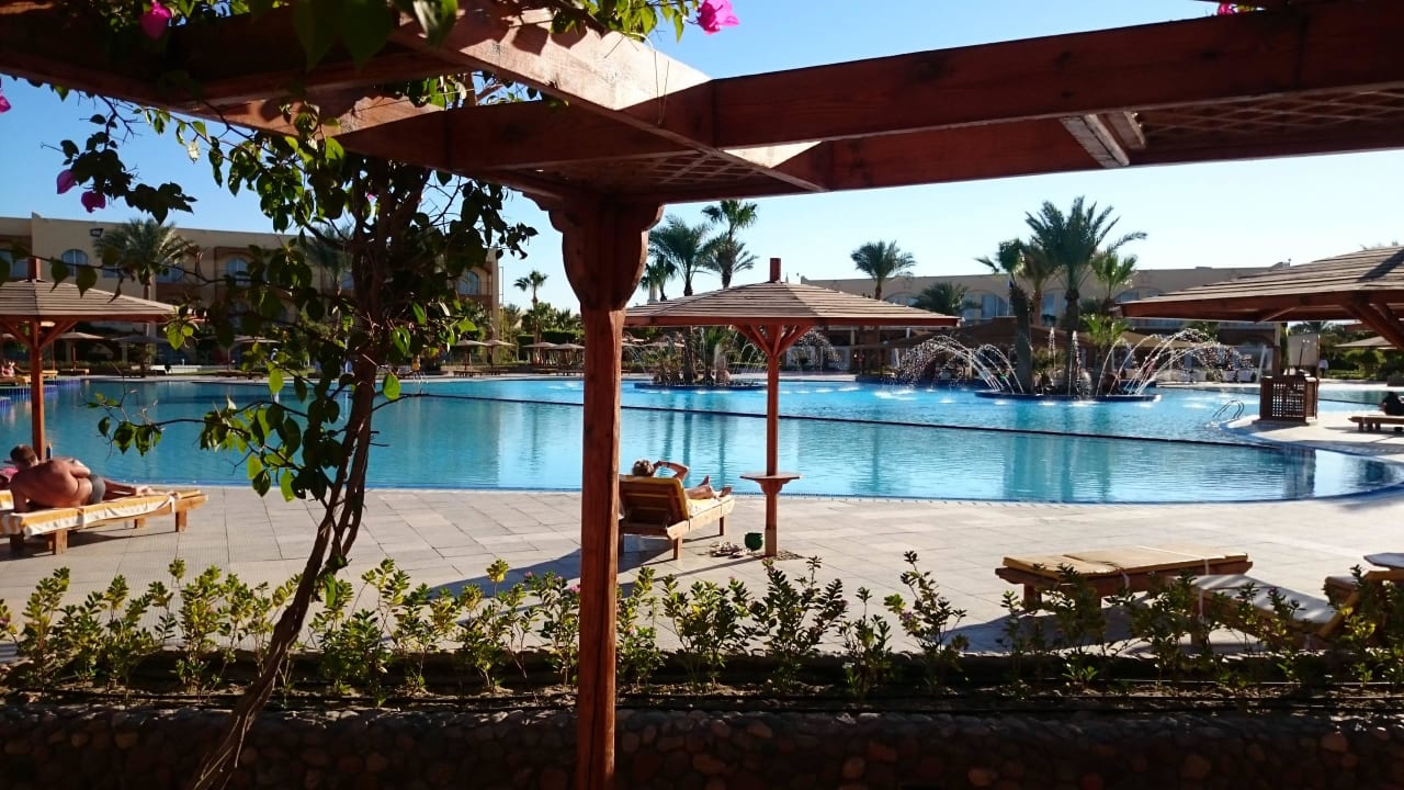 Blick auf den Pool Desert Rose