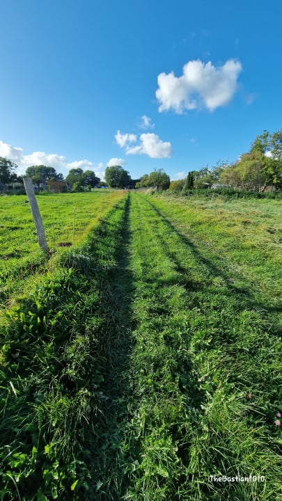 Gartenanlage Hotel Norddeutscher Hof