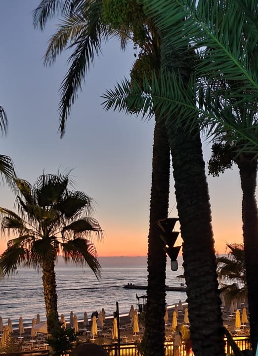 Strand PALOMA Perissia