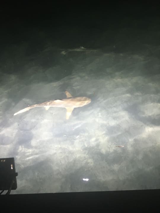 Strand Adaaran Select Hudhuran Fushi - Premium All Inclusive