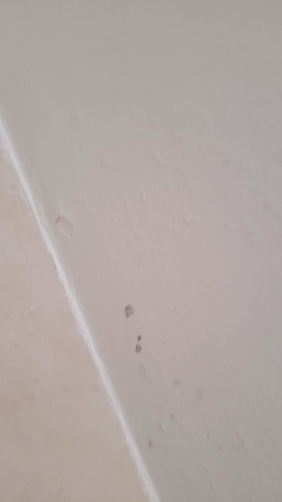 Zimmer Viva Fortuna Beach by Wyndham - All Inclusive Resort