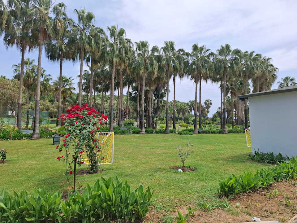 Gartenanlage Royal Atlantis Beach Hotel