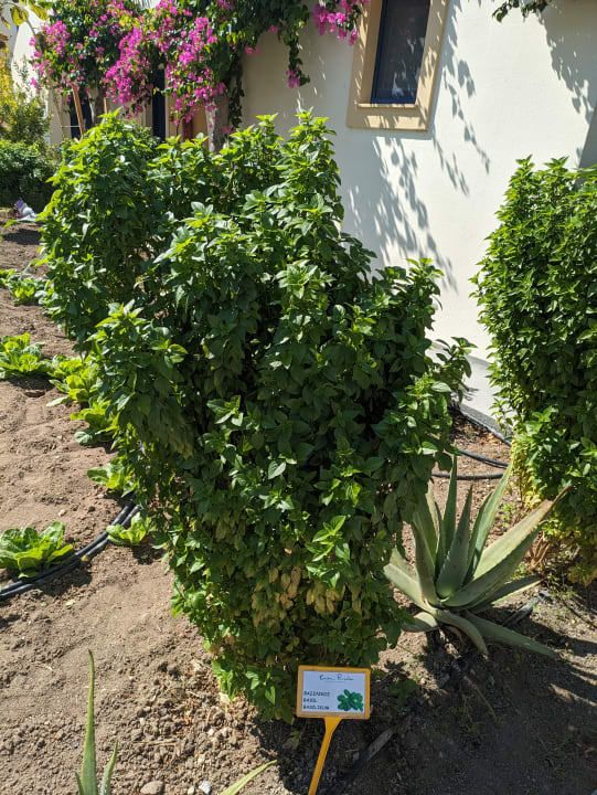 Gartenanlage Grecotel Casa Paradiso