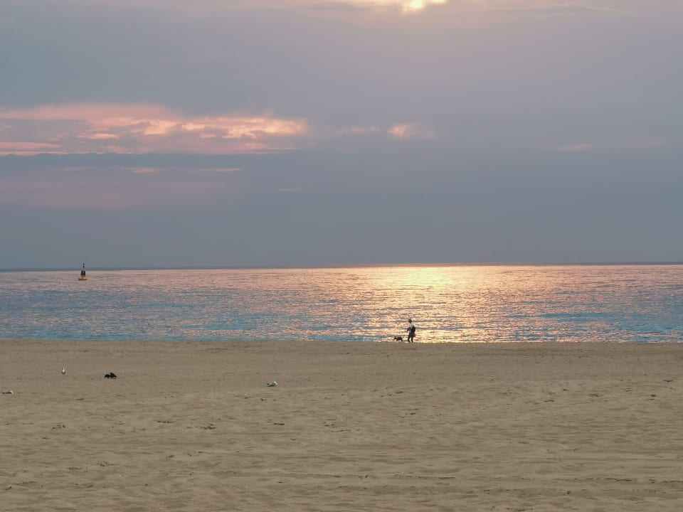 Ausblick Beach Houses Den Haag