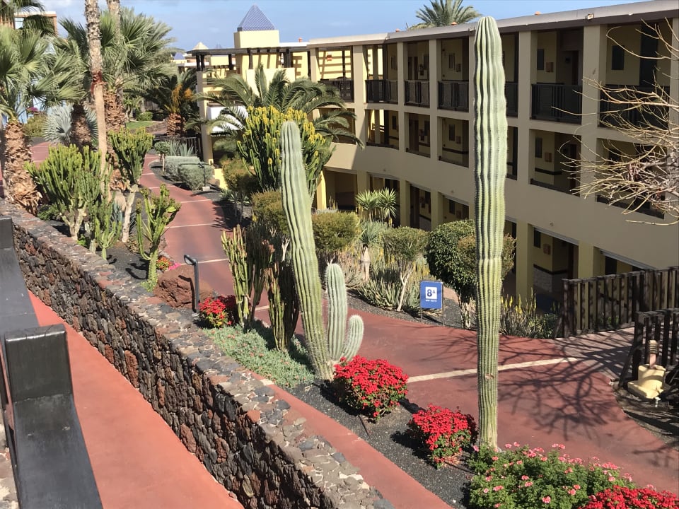 Gartenanlage Occidental Jandía Royal Level - Adults only