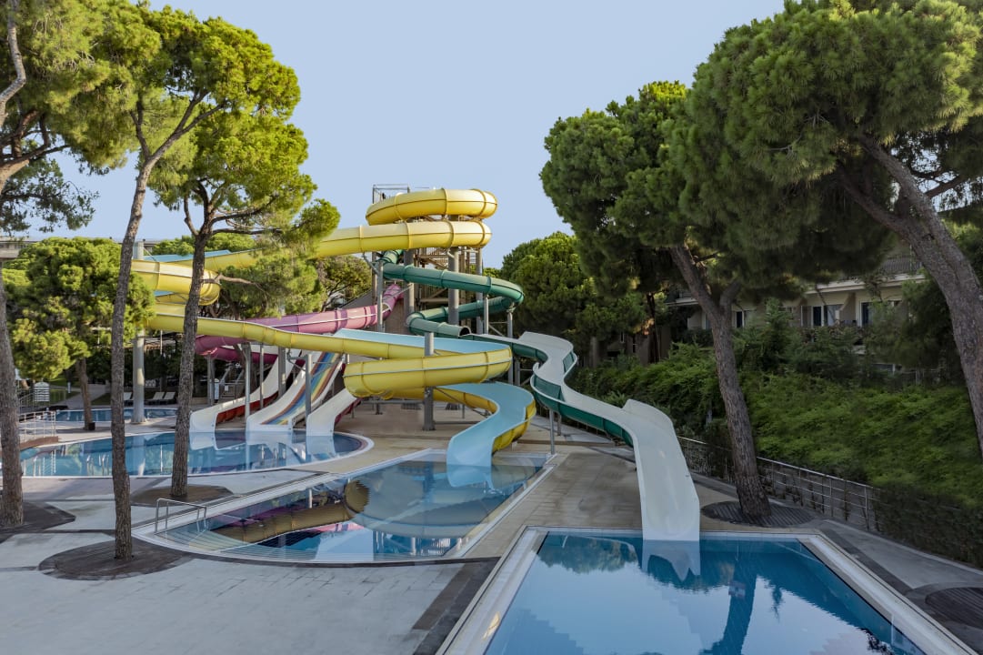 Pool Papillon Ayscha