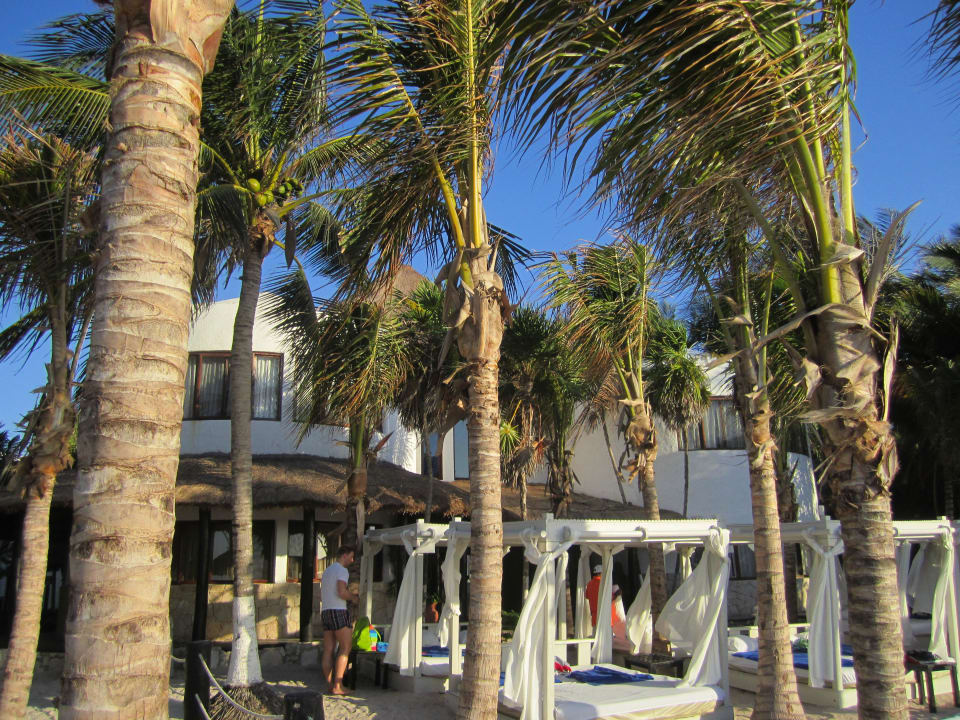 Strandbetten am Select Club Strand Sandos Caracol Eco Resort & Spa Select Club Adults only - All Inclusive