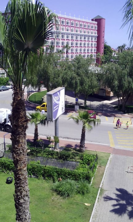 Вид из номера Viking Park