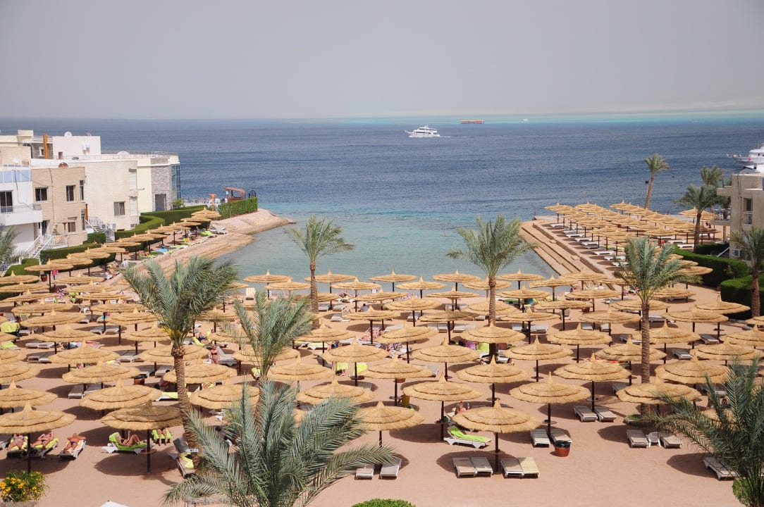 Hotel beach Seagull Beach Resort