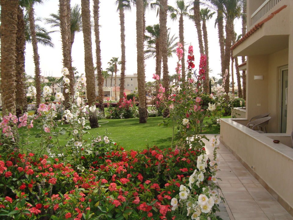 Gartenanlage Beach Albatros Resort