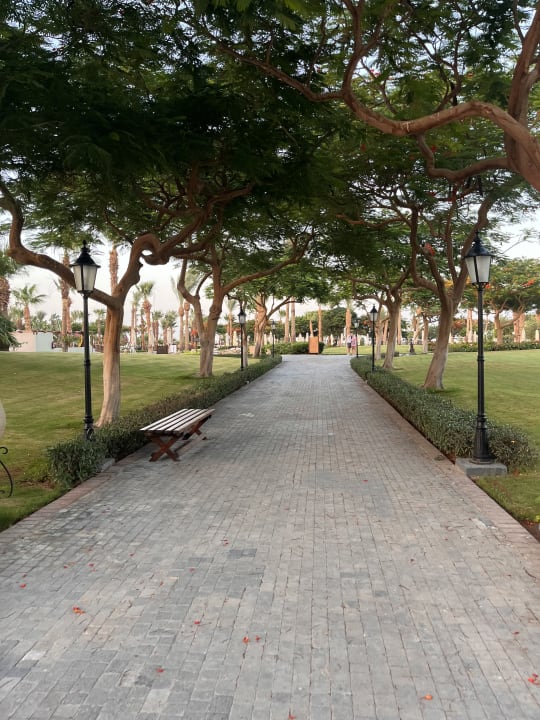 Gartenanlage Steigenberger ALDAU Beach Hotel