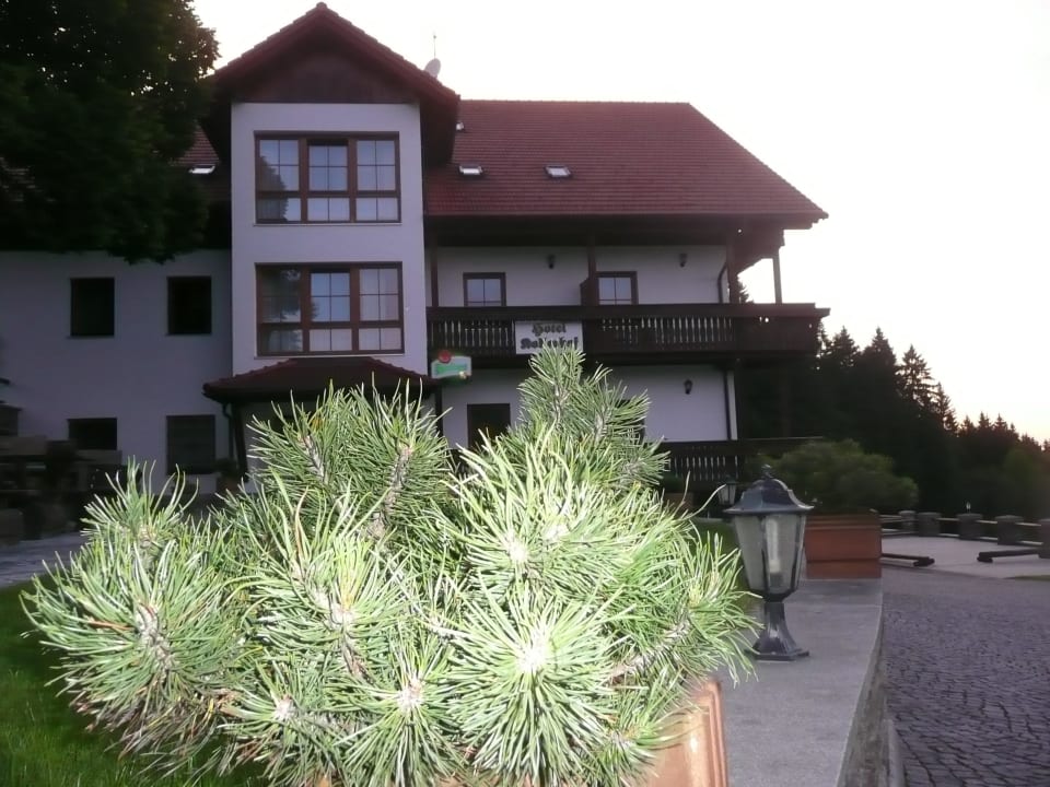 Před hotelem Hotel Kollerhof