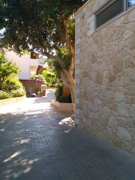 Sonstiges Cactus Beach