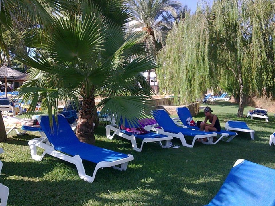 Gartenanlage beim Pool Hotel Exagon Park