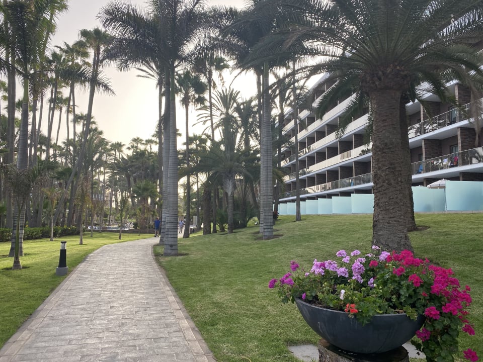 Gartenanlage Hotel Riu Palace Oasis