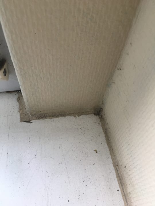 Zimmer Europa Hotel Greifswald