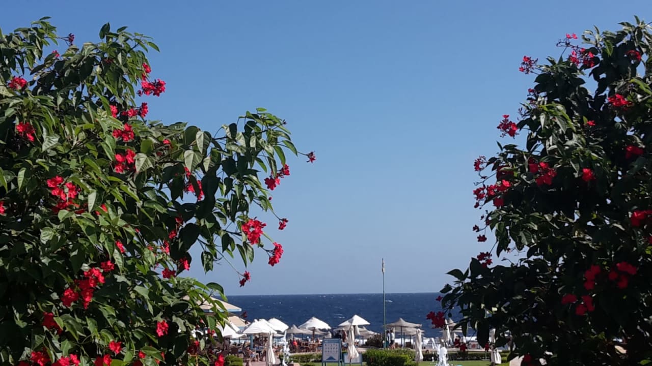 Gartenanlage Sentido Akassia Beach