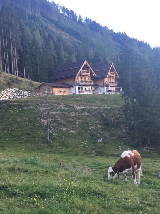Außenansicht Chalets Almidylle