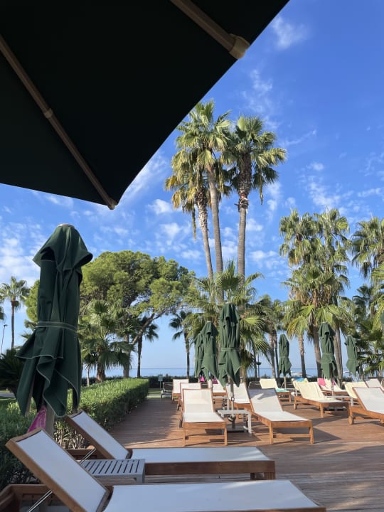 Pool Acanthus Cennet Barut Collection