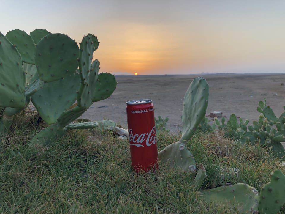 Ausblick Three Corners Sea Beach Resort