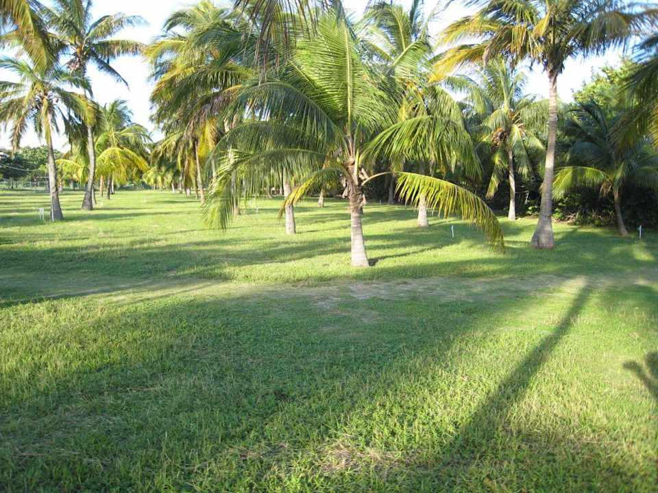 Garten Sol Hicacos Varadero