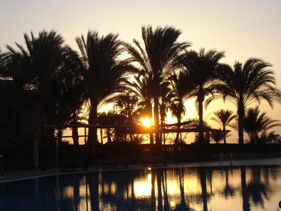 Sonnenaufgang Steigenberger Coraya Beach - Adults only