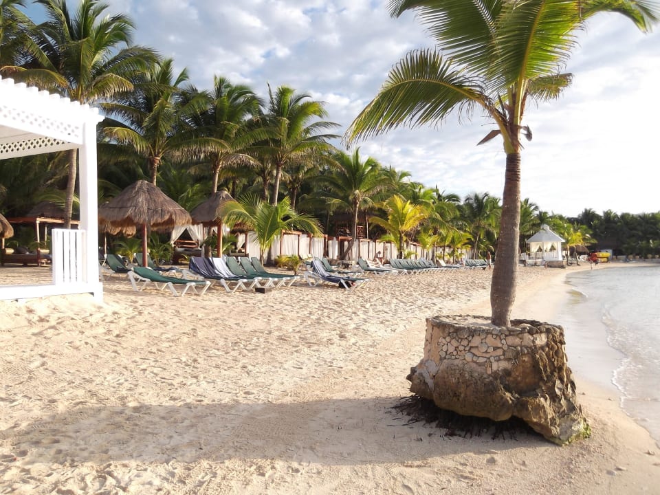 Strand direkt am Hotel TUI BLUE El Dorado Seaside Suites