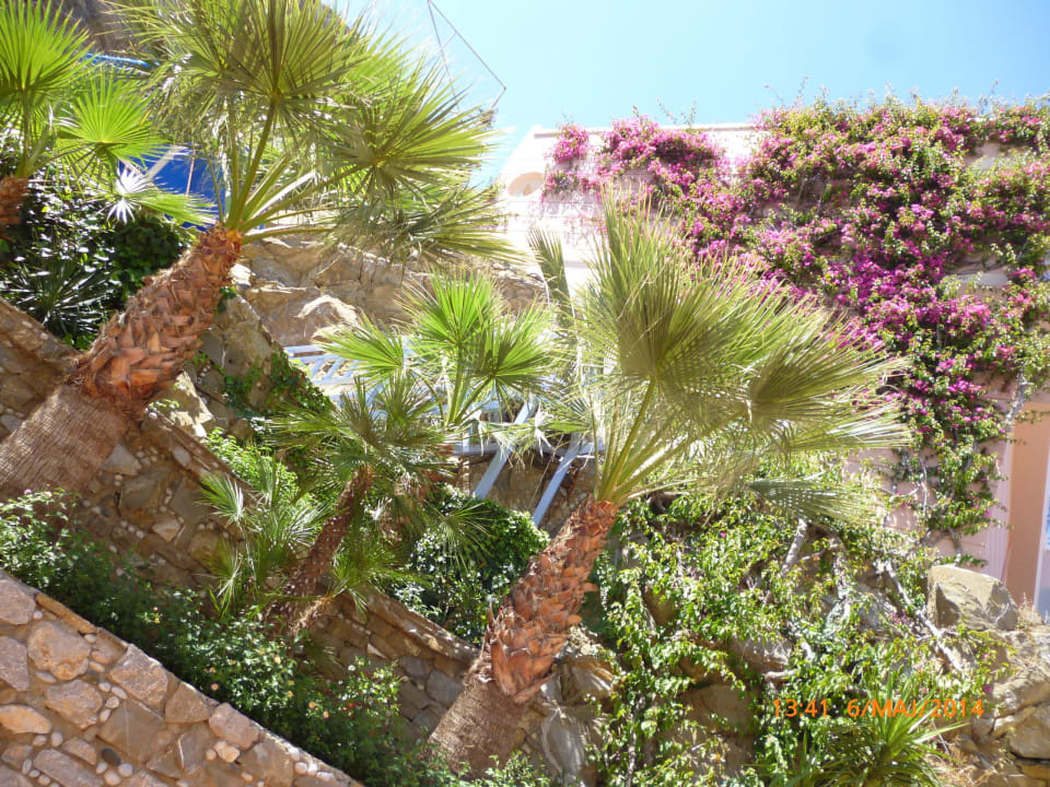 Zieleń na terenie hotelu Mitsis Rodos Village