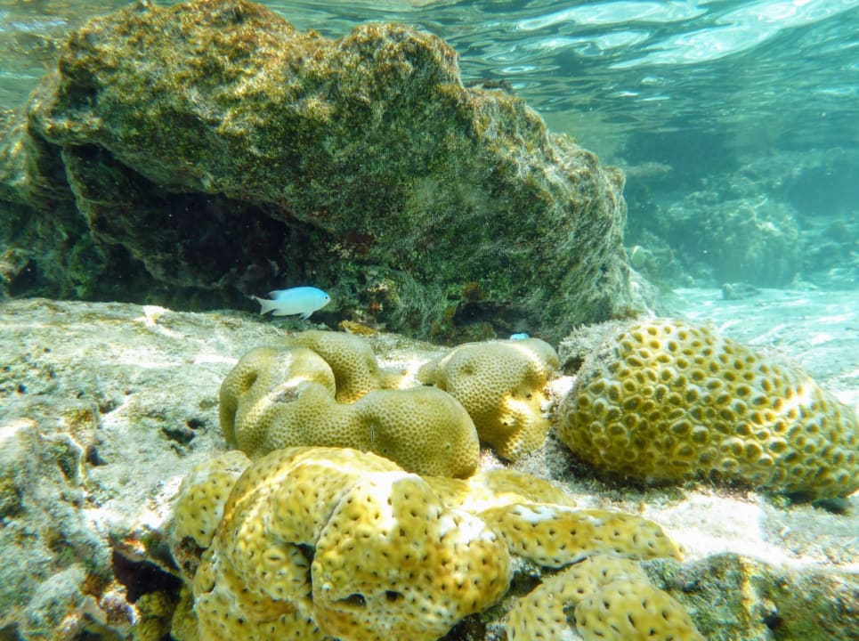 Sport & Freizeit Jawakara Islands Maldives