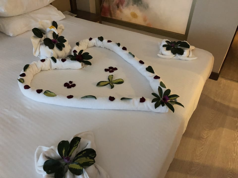 Zimmer Adin Resort Hotel