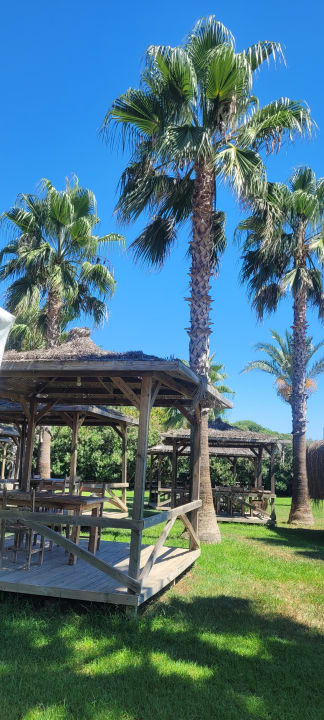 Gartenanlage Royal Atlantis Beach Hotel