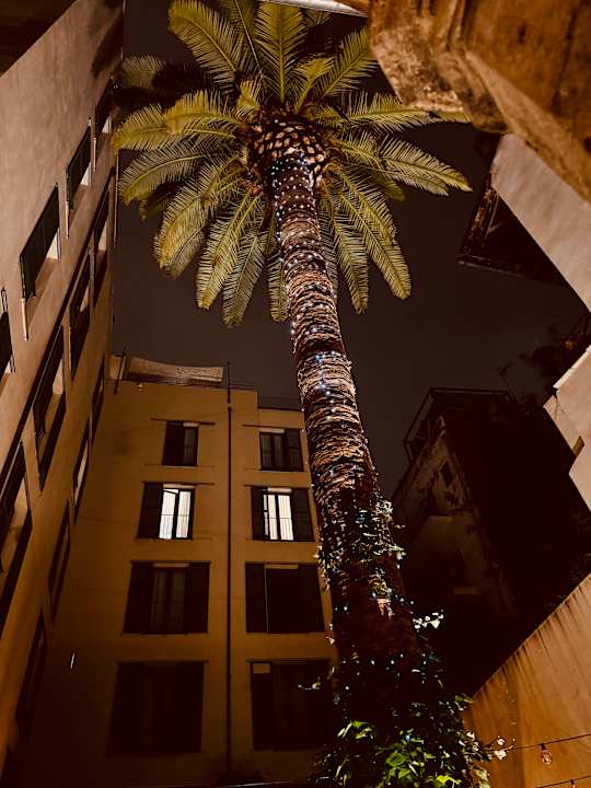 Gartenanlage Hotel Tres