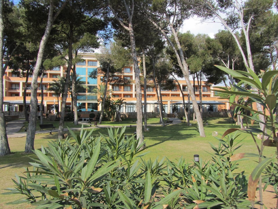 Gartenanlage und Pool Hipotels Hipocampo Palace & Spa