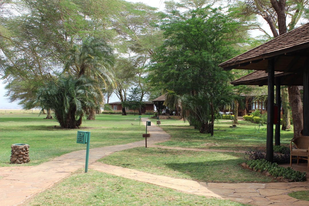 Man muß auch auf Affen auf den Wegen aufpassen Ol Tukai Lodge