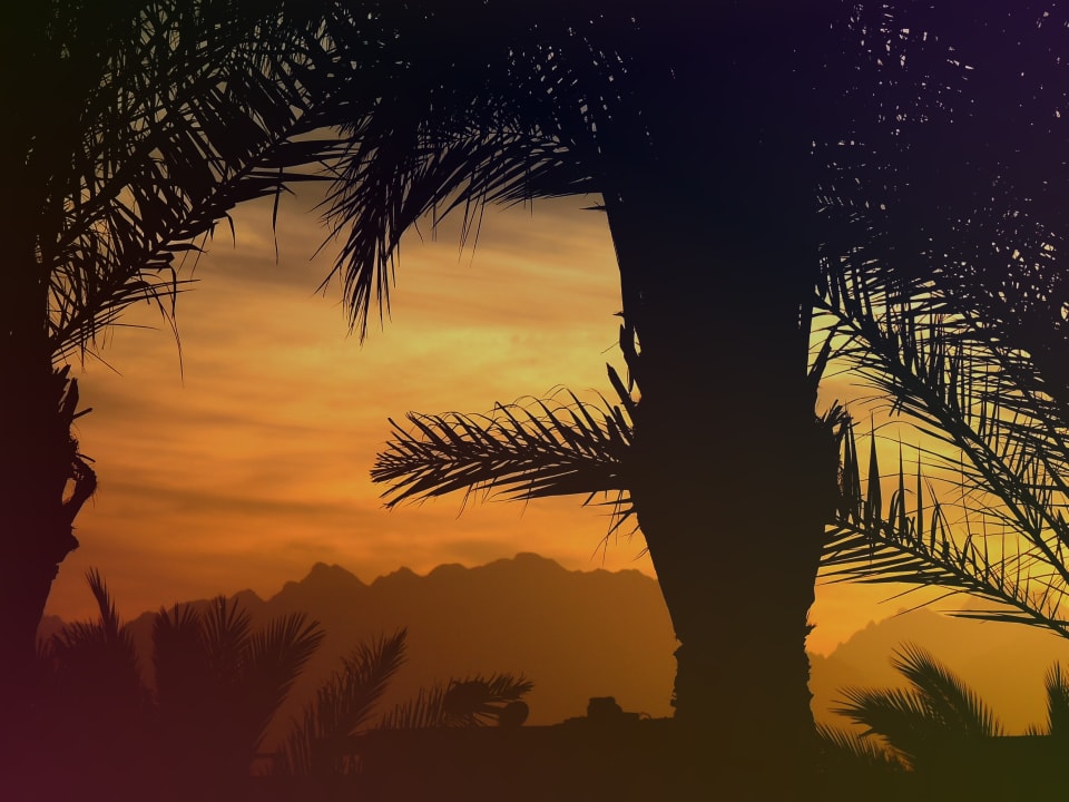 Blick Richtung Wüste! Steigenberger Aqua Magic