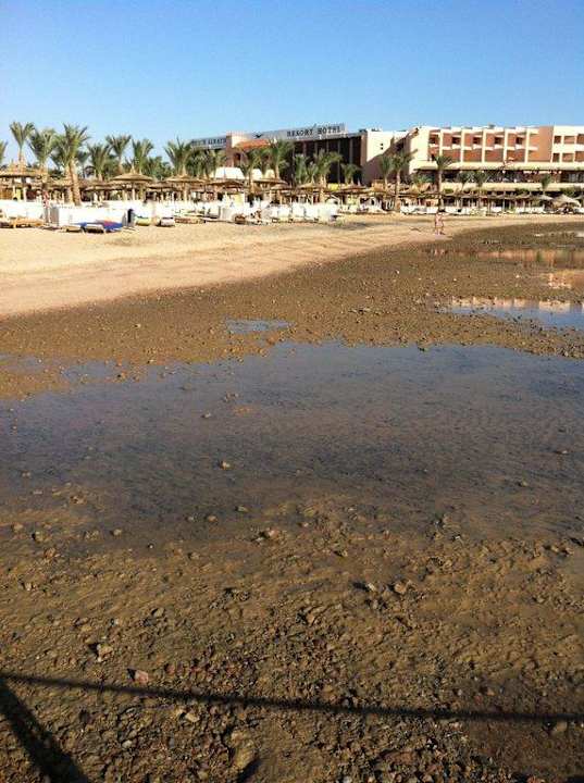 Strand Pickalbatros Palace Resort