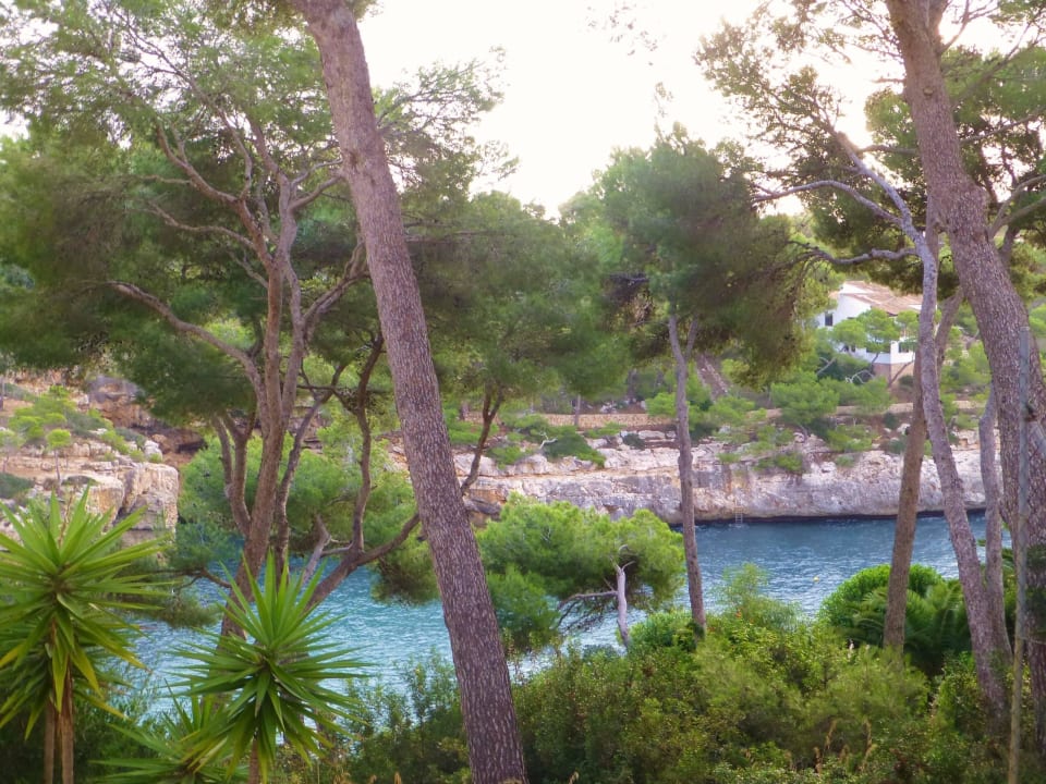 Blick in die Bucht Village Cala Santanyi