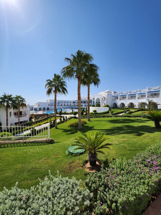 Außenansicht Pickalbatros Palace Resort