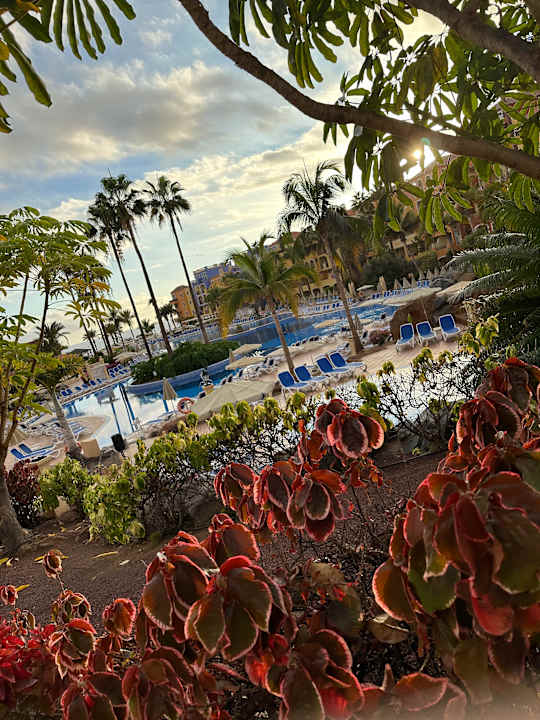 Pool Bahia Principe Sunlight Costa Adeje