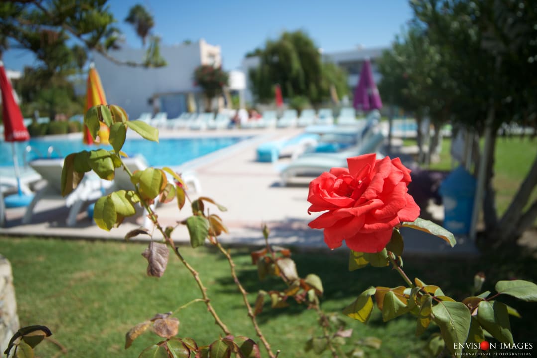 Pool Apartments Lenaki