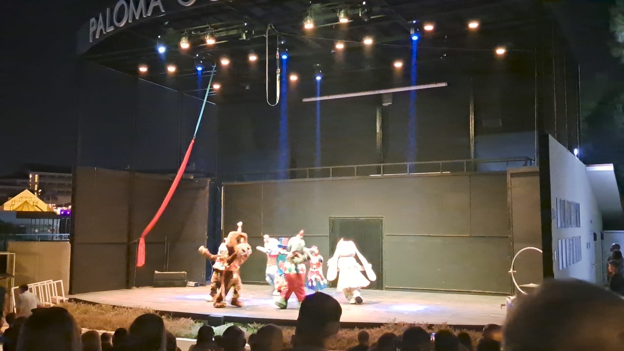 Sport & Freizeit Paloma Oceana